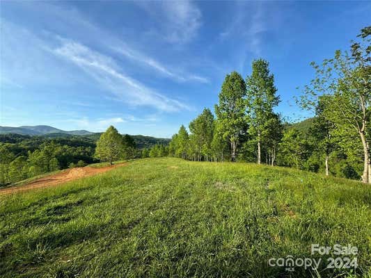 TBD WATERFALL RIDGE DRIVE # FARM TRACT 2, HENDERSONVILLE, NC 28792 - Image 1