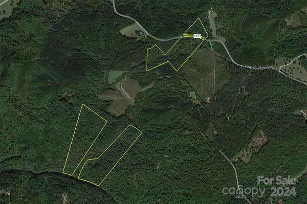 0 COUNTY LINE ROAD, RUTHERFORDTON, NC 28139 - Image 1