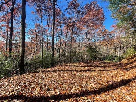 LOT 134 GREEN HOLLOW LANE # 134, BREVARD, NC 28712 - Image 1