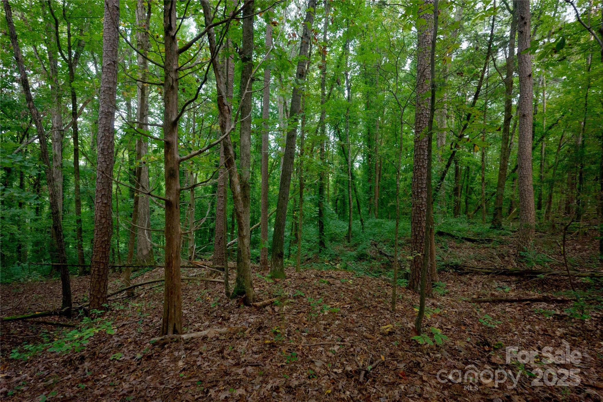 Concord, North Carolina, 28027, United States, 2 Bedrooms Bedrooms, ,1 BathroomBathrooms,Residential,Active,1954431