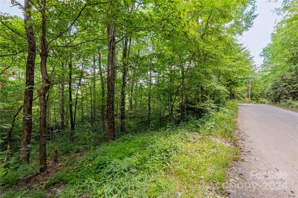 0 TREE HAVEN ROAD, BLACK MOUNTAIN, NC 28711 - Image 1