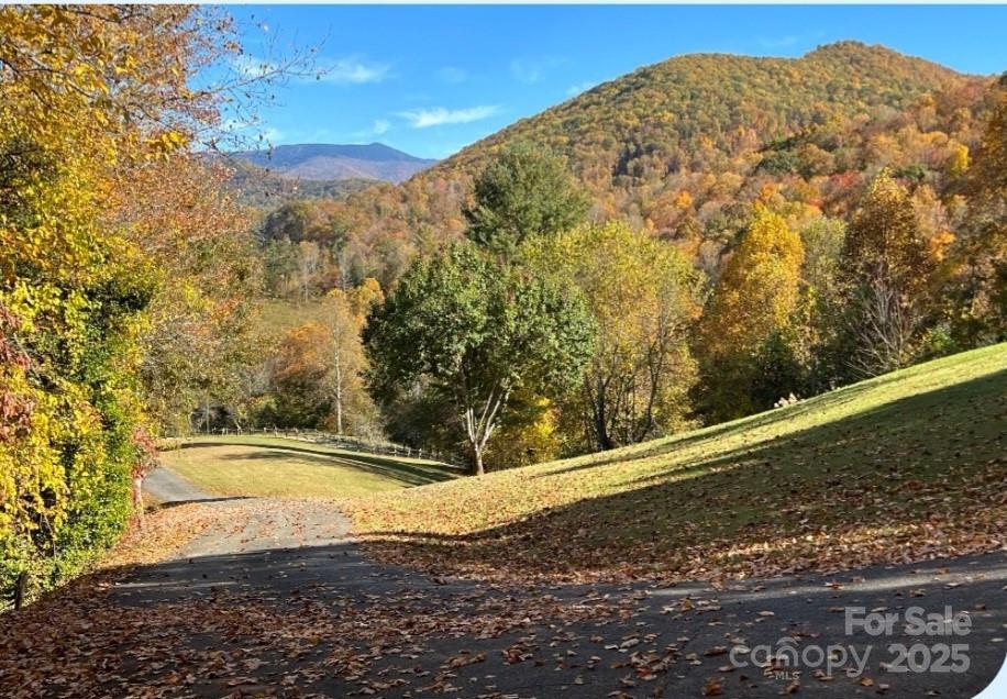 Barnardsville, North Carolina, 28709, United States, ,4 BathroomsBathrooms,Residential,Active,1770043