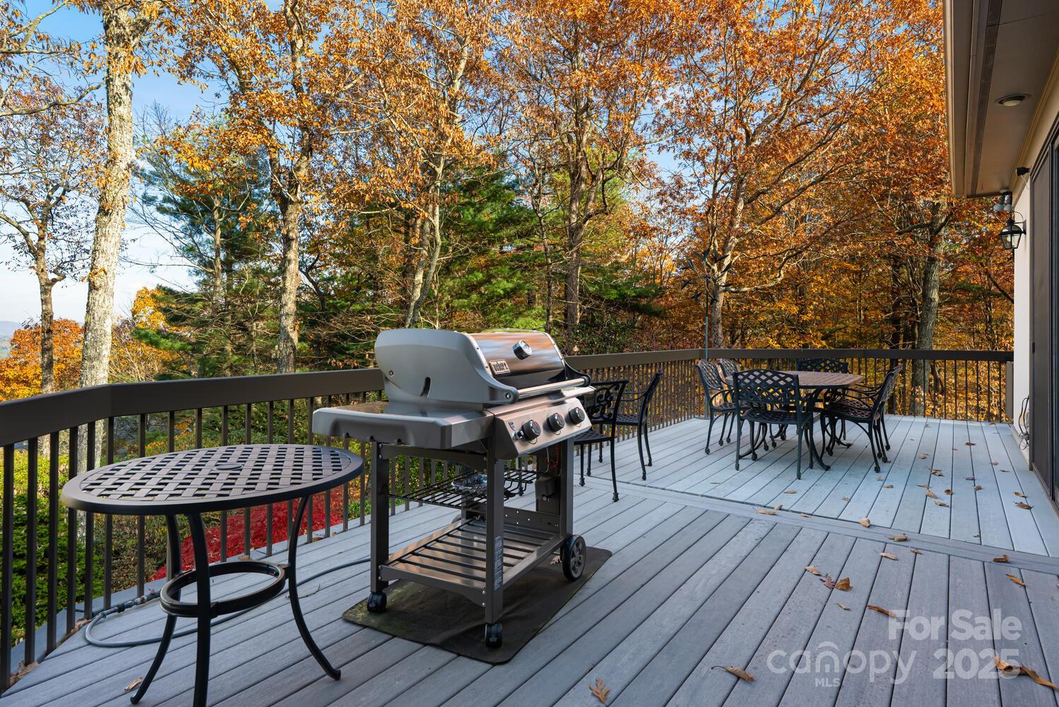 Flat Rock, North Carolina, 28731, United States, 3 Bedrooms Bedrooms, ,4 BathroomsBathrooms,Residential,Active,1990039