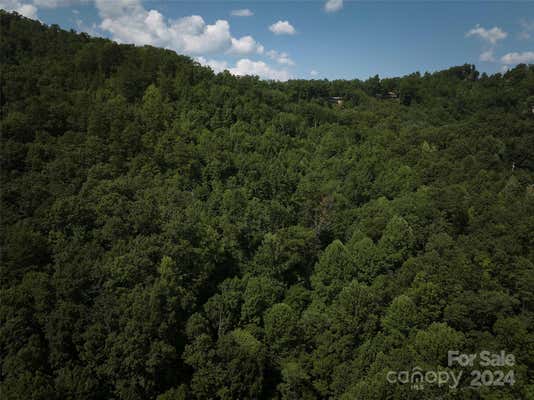 0 HORSE BRANCH ROAD, BRYSON CITY, NC 28713 - Image 1