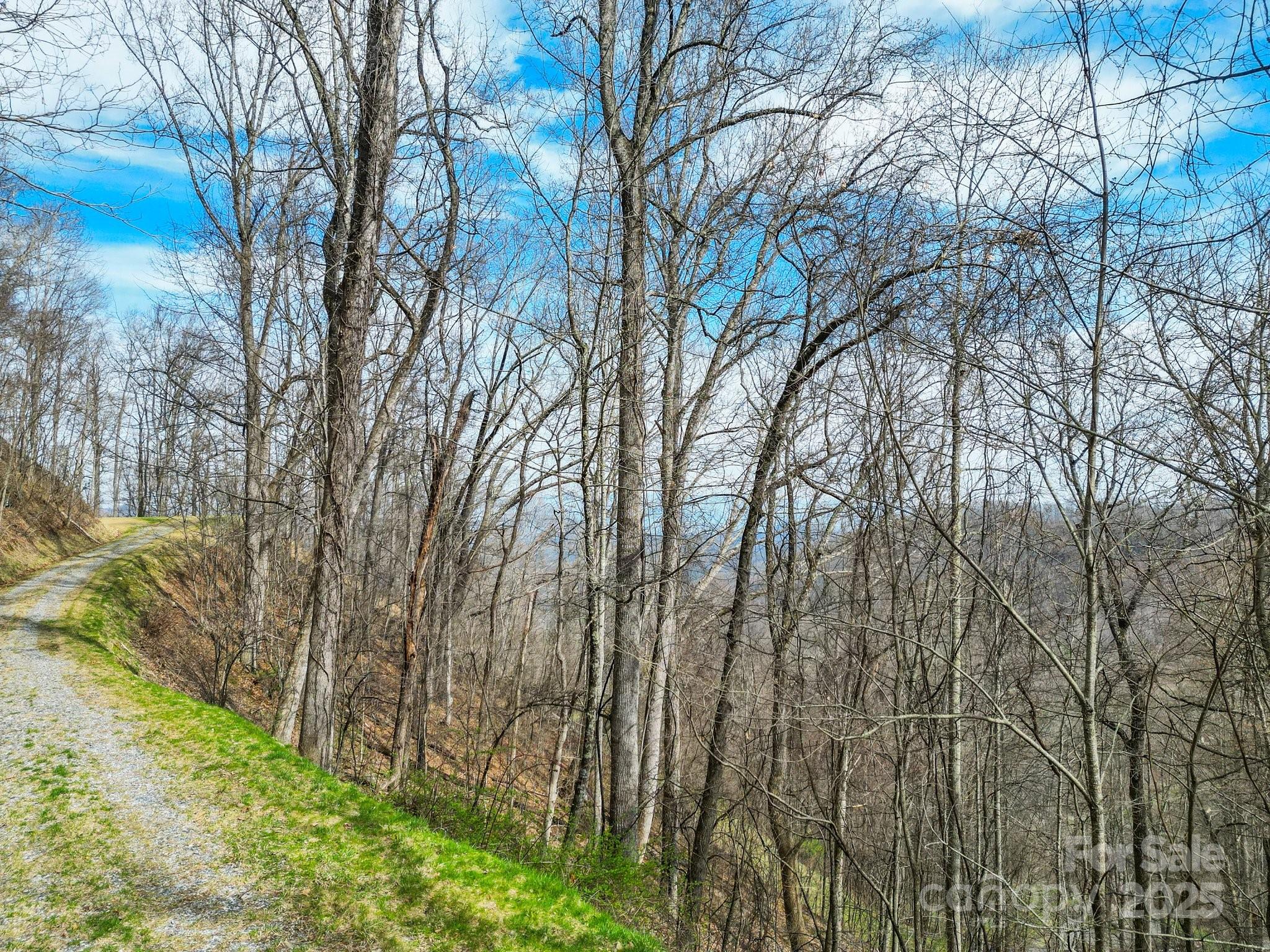 Leicester, North Carolina, 28748, United States, ,5 BathroomsBathrooms,Residential,Active,1769306