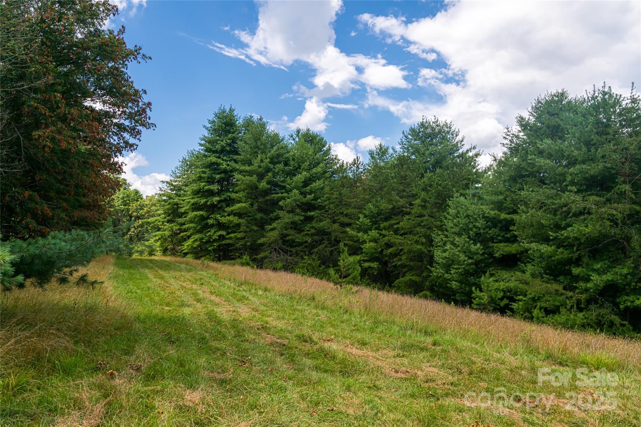 Weaverville, North Carolina, 28787, United States, 3 Bedrooms Bedrooms, ,2 BathroomsBathrooms,Residential,Active,1892411