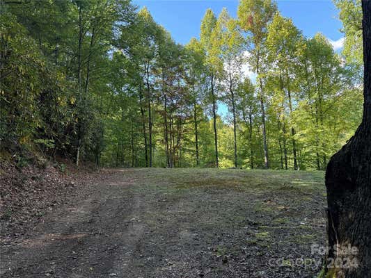 LOT E TWIN COVES ROAD, BRYSON CITY, NC 28713 - Image 1