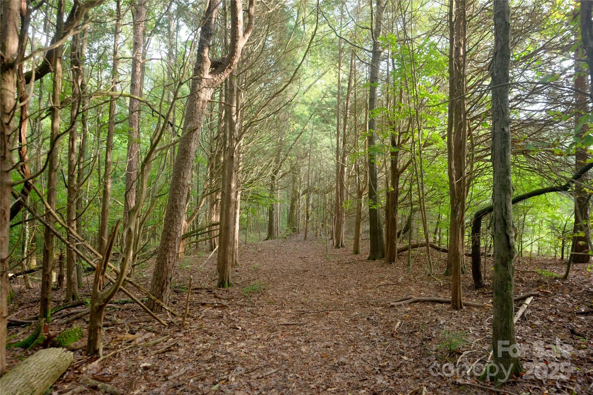 Concord, North Carolina, 28027, United States, 2 Bedrooms Bedrooms, ,1 BathroomBathrooms,Residential,Active,1954431
