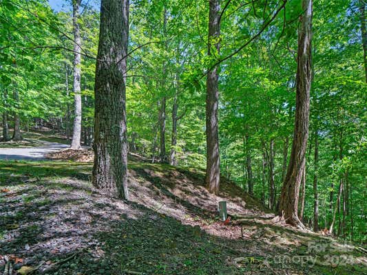 9 CELO HEIGHTS WAY, BURNSVILLE, NC 28714, photo 5 of 44