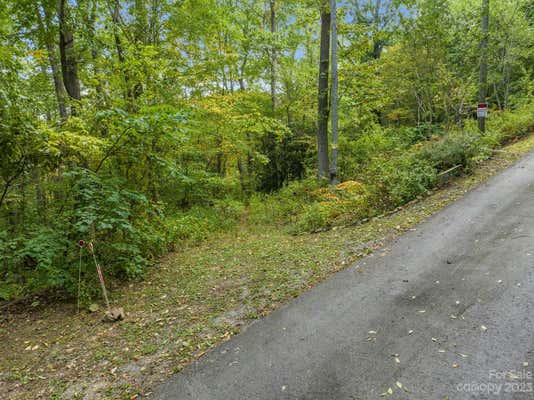 99999 SHOPE CREEK ESTATES DR, ASHEVILLE, NC 28805, photo 3 of 25