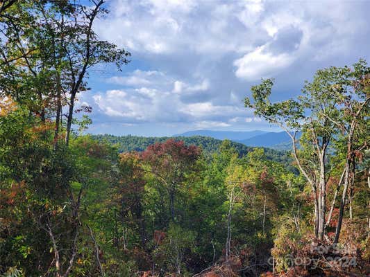 TBD PARKWOOD HILL ROAD, SPRUCE PINE, NC 28777, photo 2 of 48