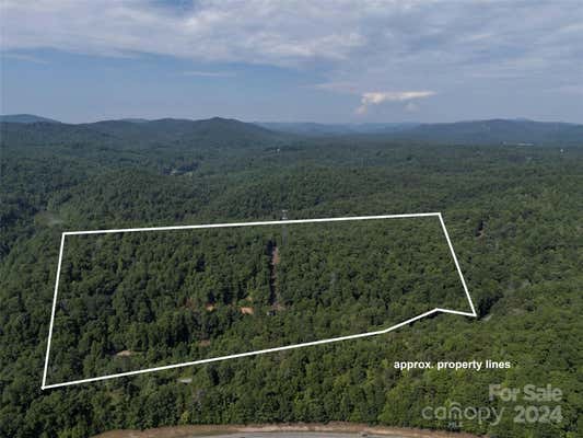 1084 OLD HOWARD GAP RD, SALUDA, NC 28773 - Image 1