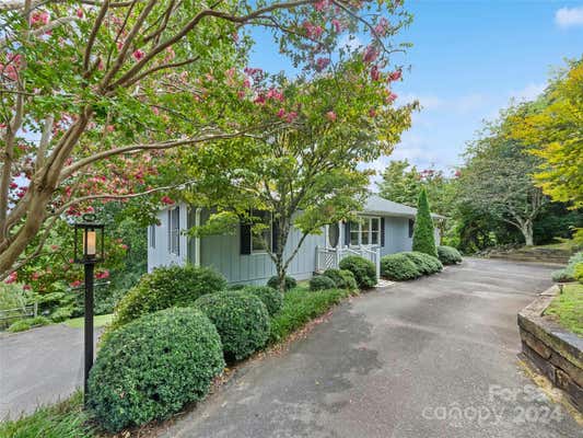 436 CRESCENT DR, SALUDA, NC 28773 - Image 1