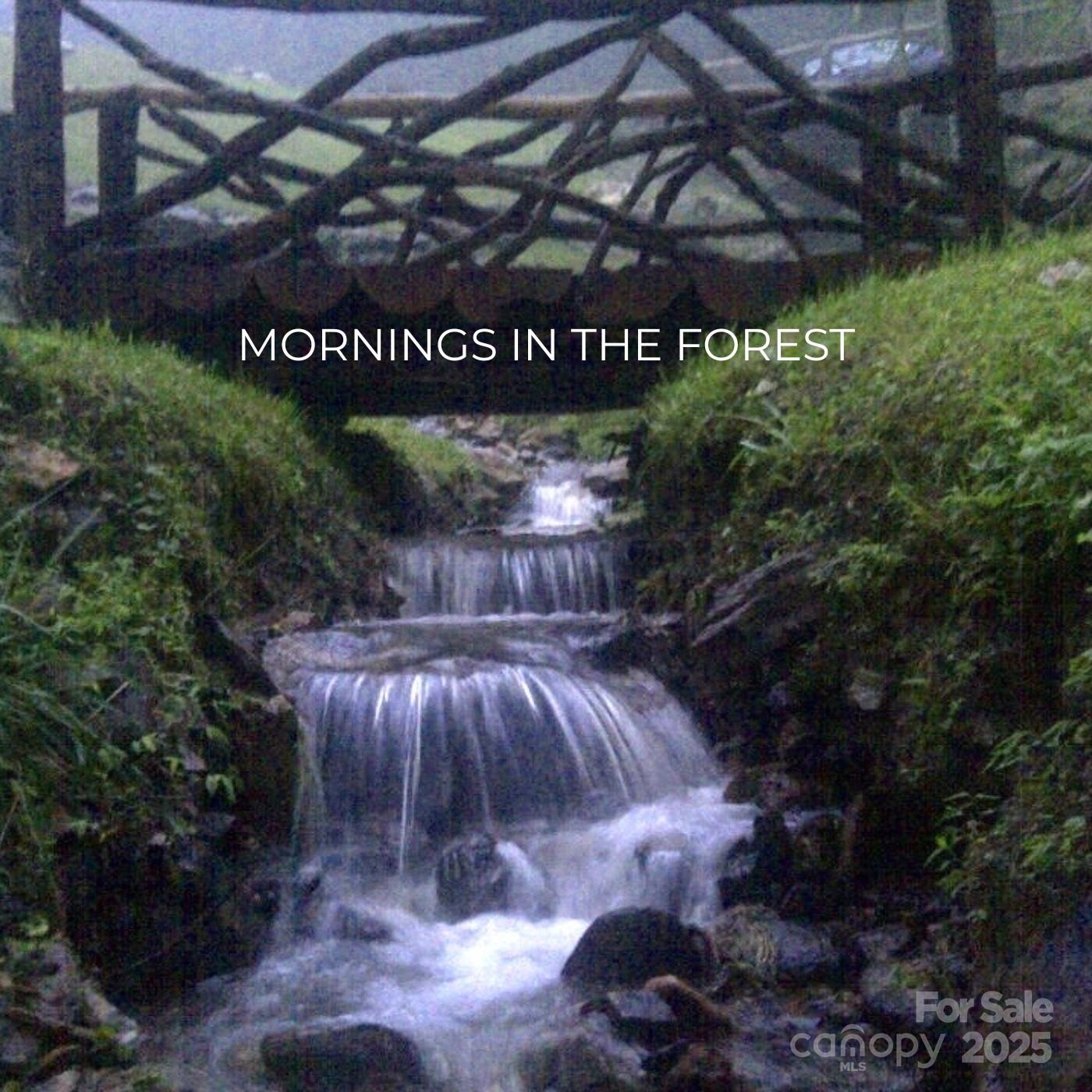 Leicester, North Carolina, 28748, United States, ,5 BathroomsBathrooms,Residential,Active,1769306