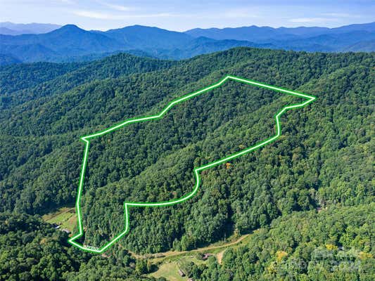 000 BYRD CREEK ROAD, GREEN MOUNTAIN, NC 28740 - Image 1