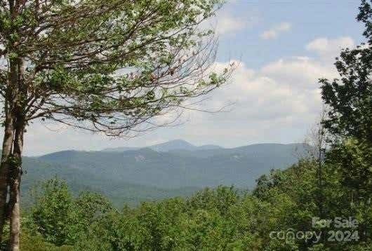 246 C HARRISON HALL RD, LAKE TOXAWAY, NC 28747 - Image 1