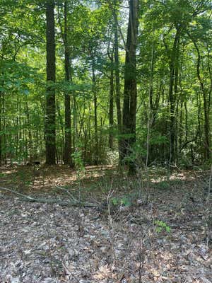 TBD ARROWHEAD RIDGE ROAD, BREVARD, NC 28712 - Image 1