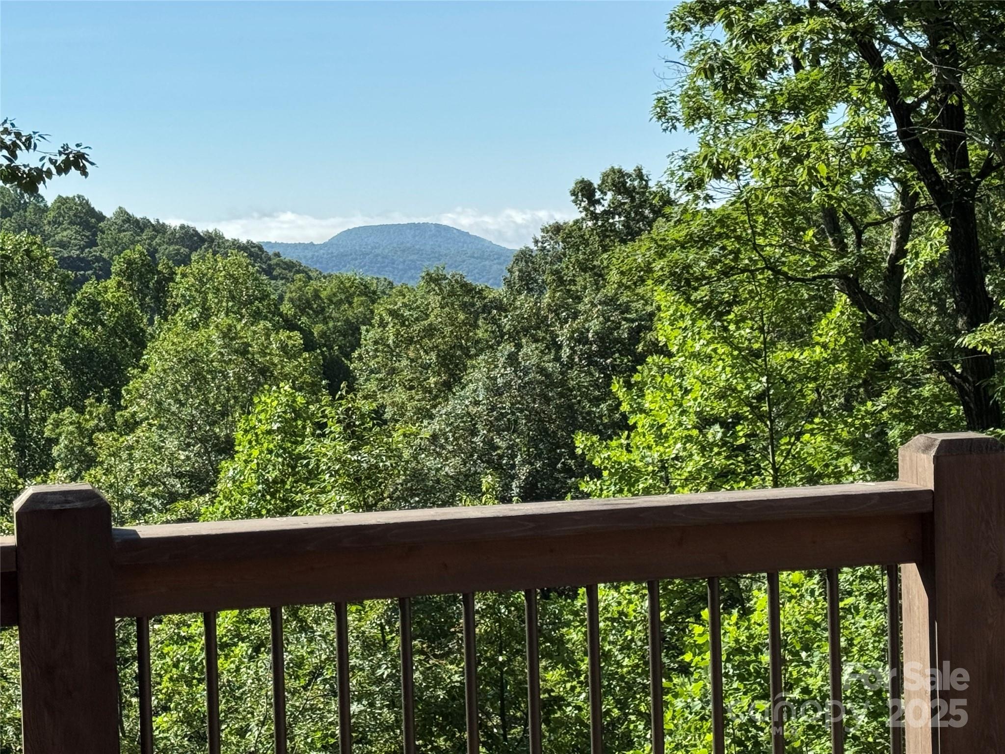 Flat Rock, North Carolina, 28731, United States, ,4 BathroomsBathrooms,Residential,Active,1860239