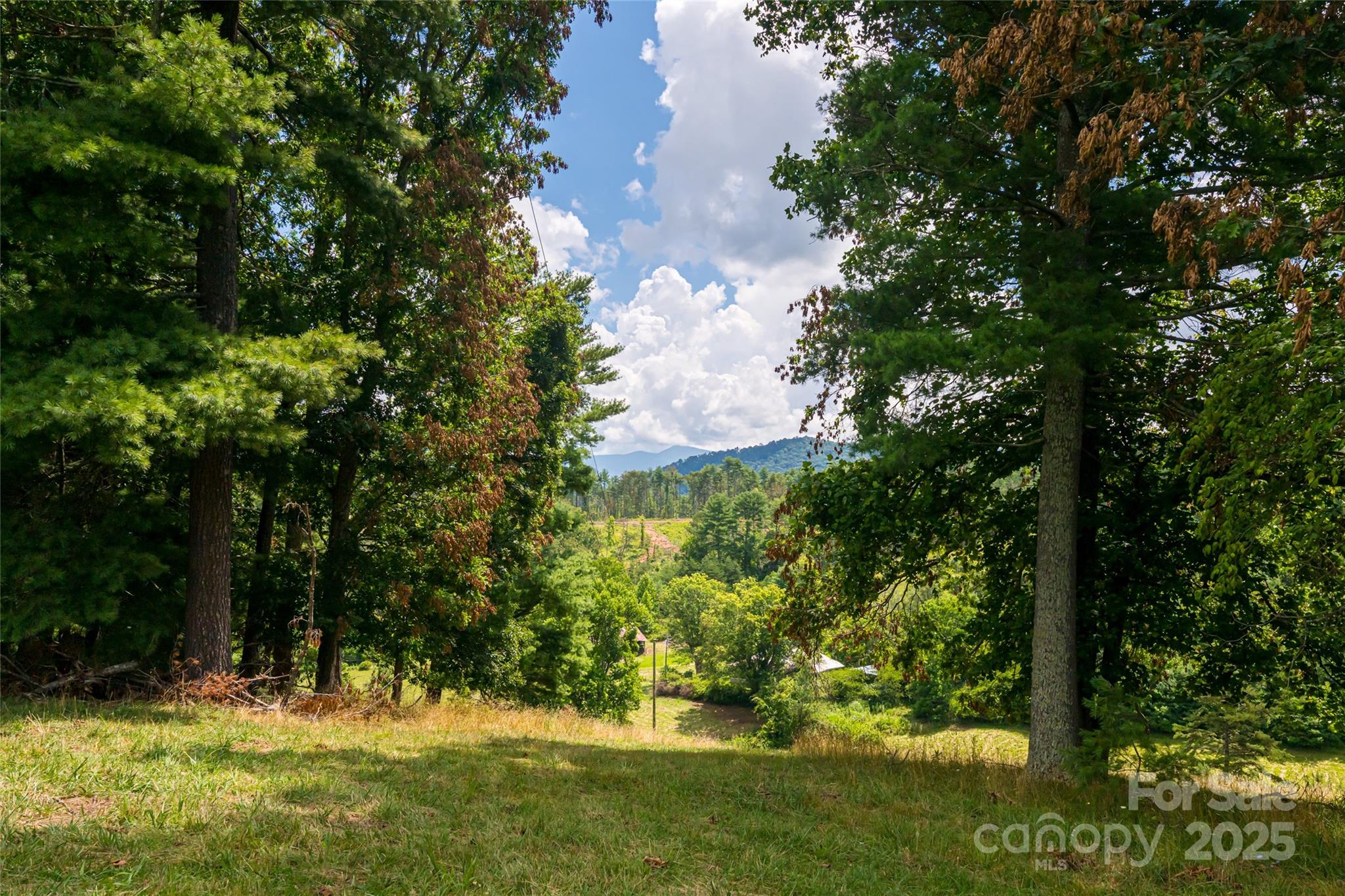 Weaverville, North Carolina, 28787, United States, 3 Bedrooms Bedrooms, ,2 BathroomsBathrooms,Residential,Active,1892411