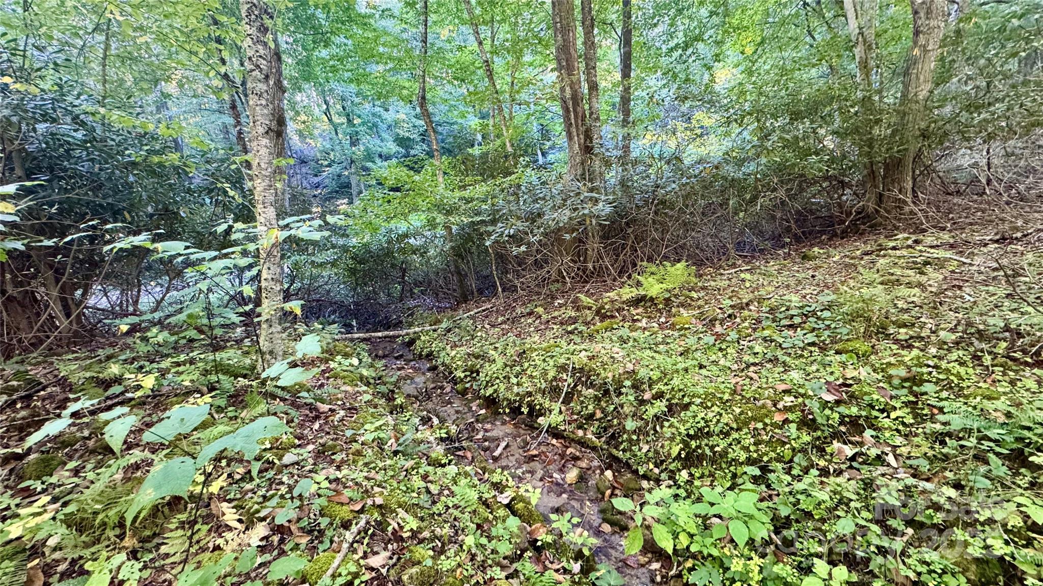 Mars Hill, North Carolina, 28754, United States, 4 Bedrooms Bedrooms, ,4 BathroomsBathrooms,Residential,Active,1960160