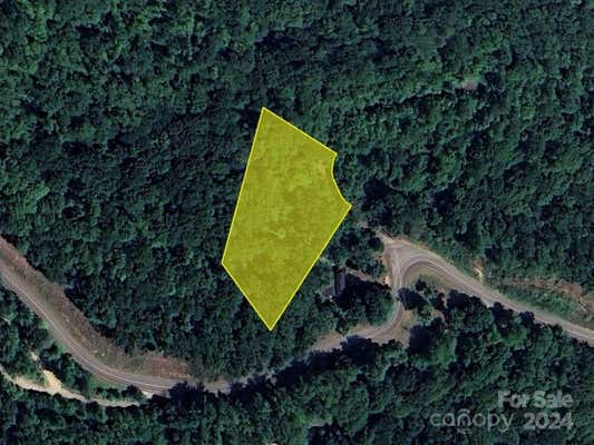 0 LIVING WATERS DRIVE, BLACK MOUNTAIN, NC 28711 - Image 1