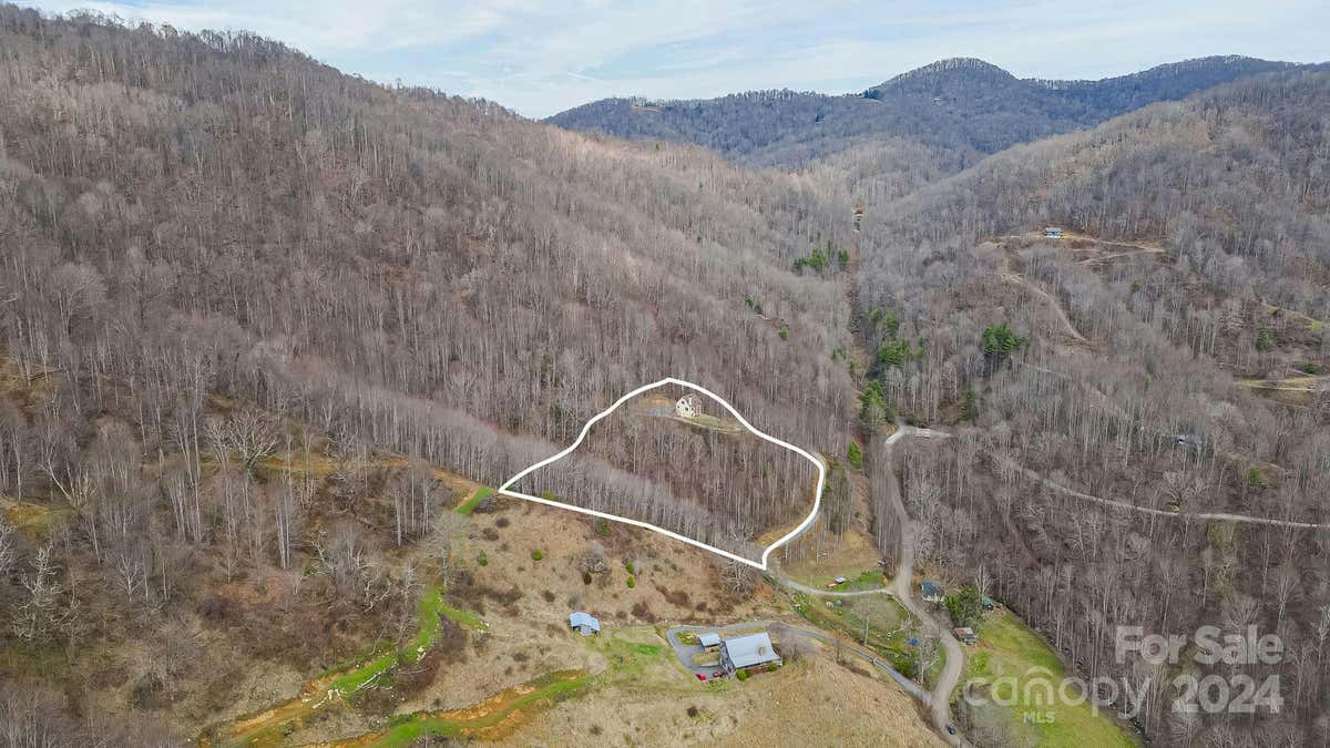 4823 MAX PATCH RD, CLYDE, NC 28721, photo 1 of 45