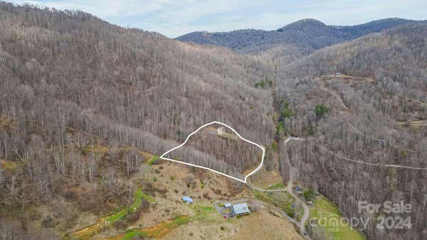 4823 MAX PATCH RD, CLYDE, NC 28721 - Image 1