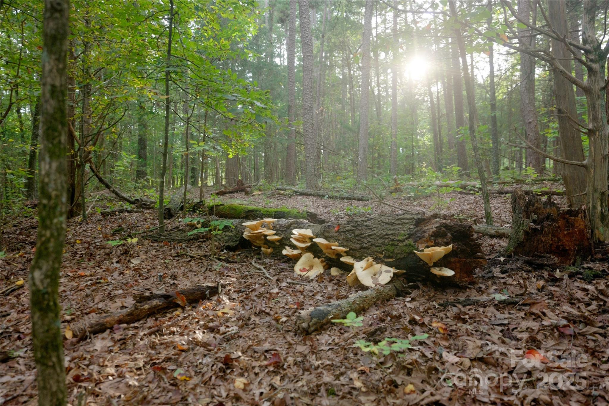 Concord, North Carolina, 28027, United States, 2 Bedrooms Bedrooms, ,1 BathroomBathrooms,Residential,Active,1954431