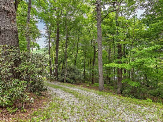 102 E SHORE DR, LAKE TOXAWAY, NC 28747, photo 5 of 12