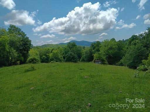 99999 SAND BRANCH RD, BLACK MOUNTAIN, NC 28711 - Image 1