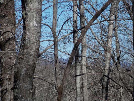 TBD RAYNOLDS RIDGE, LAKE TOXAWAY, NC 28747, photo 3 of 10