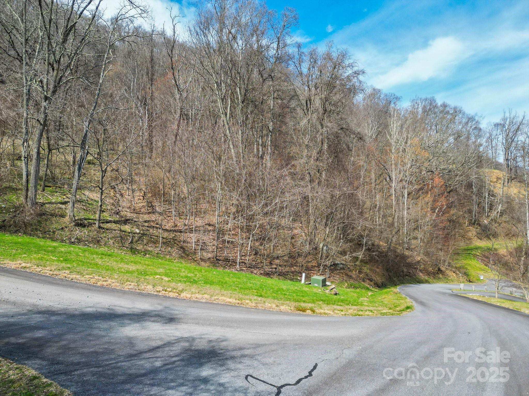 Leicester, North Carolina, 28748, United States, ,5 BathroomsBathrooms,Residential,Active,1769306