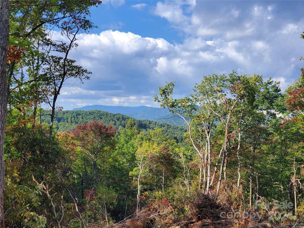 TBD PARKWOOD HILL ROAD, SPRUCE PINE, NC 28777, photo 1 of 48