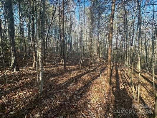 0000 PINE CONE TRAIL, RUTHERFORDTON, NC 28139, photo 2 of 16