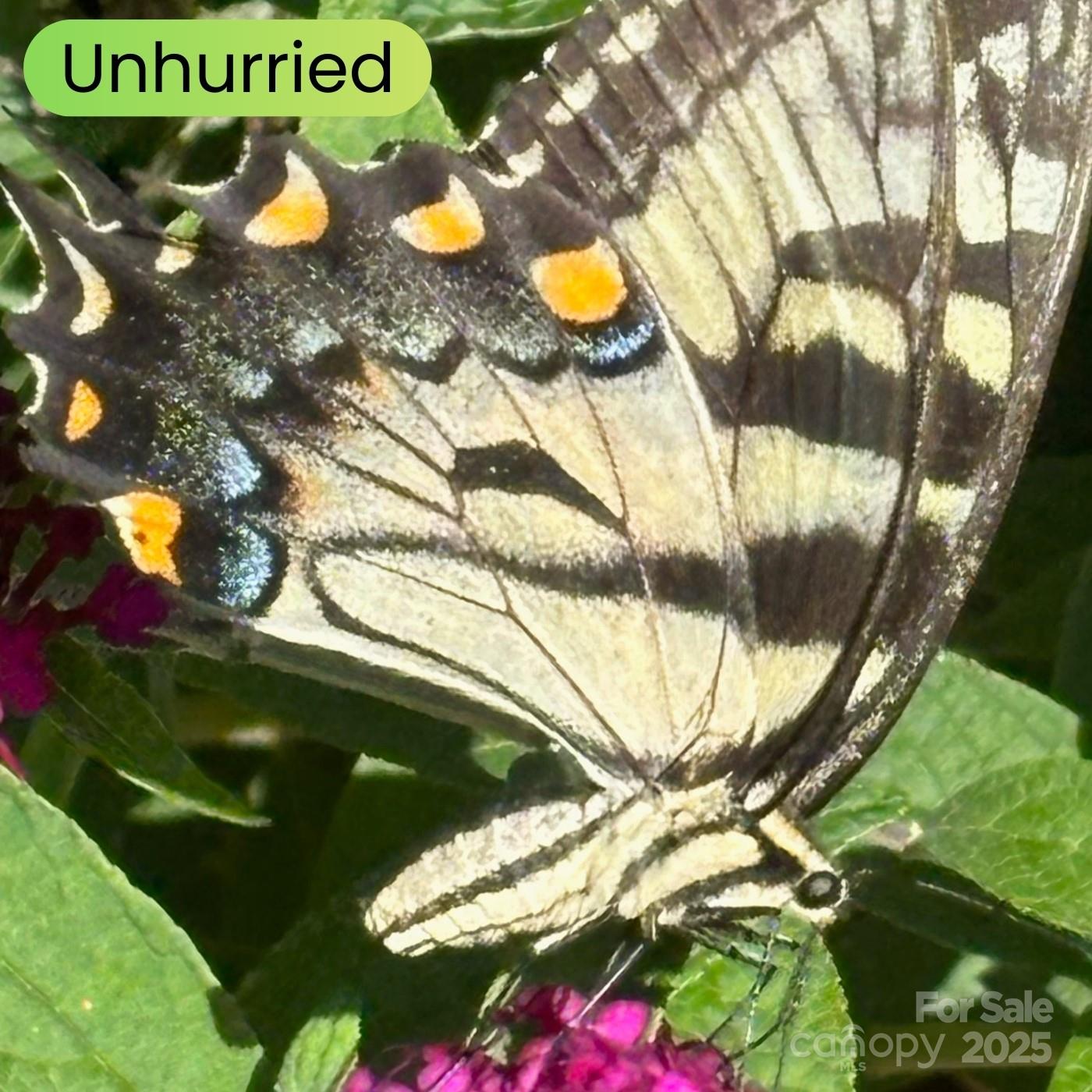 Leicester, North Carolina, 28748, United States, ,5 BathroomsBathrooms,Residential,Active,1769306