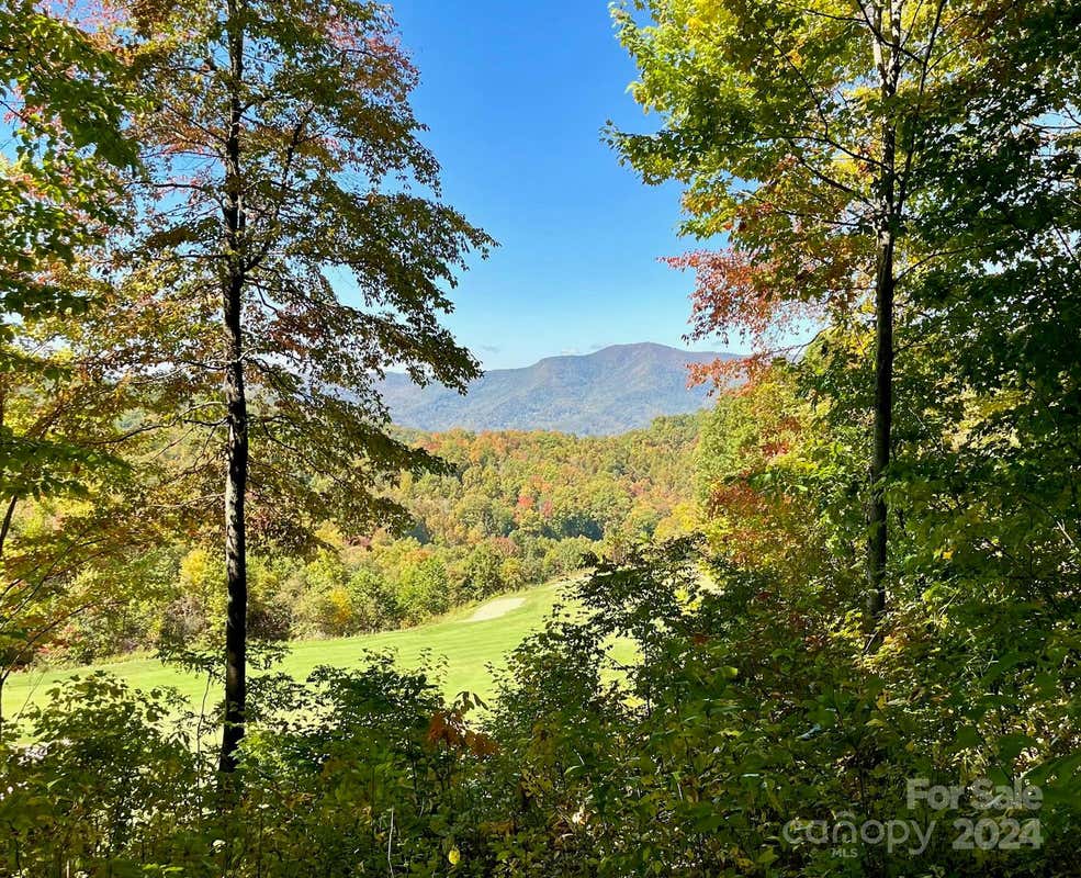 1781 HIGH LINE RD LOT 63, SYLVA, NC 28779, photo 1 of 7