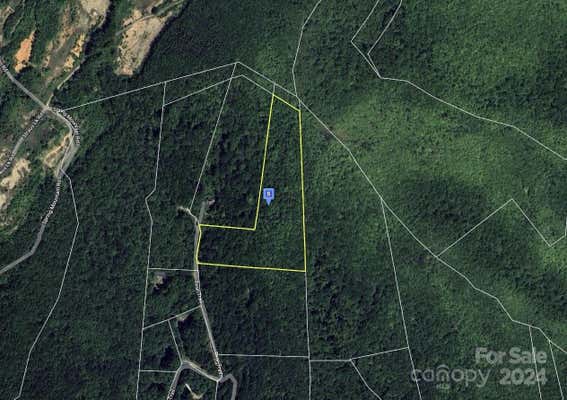 95 BEAR TRL, FAIRVIEW, NC 28730 - Image 1