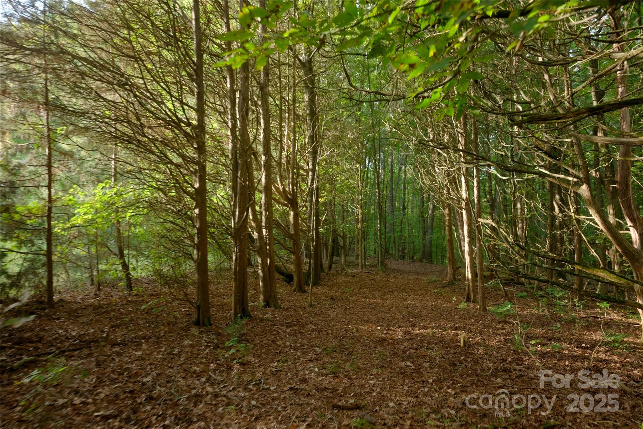 Concord, North Carolina, 28027, United States, 2 Bedrooms Bedrooms, ,1 BathroomBathrooms,Residential,Active,1954431