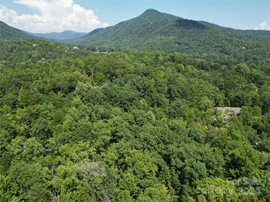 LOT 167 & 170 DEERFIELD DRIVE, LAKE LURE, NC 28746, photo 2 of 16