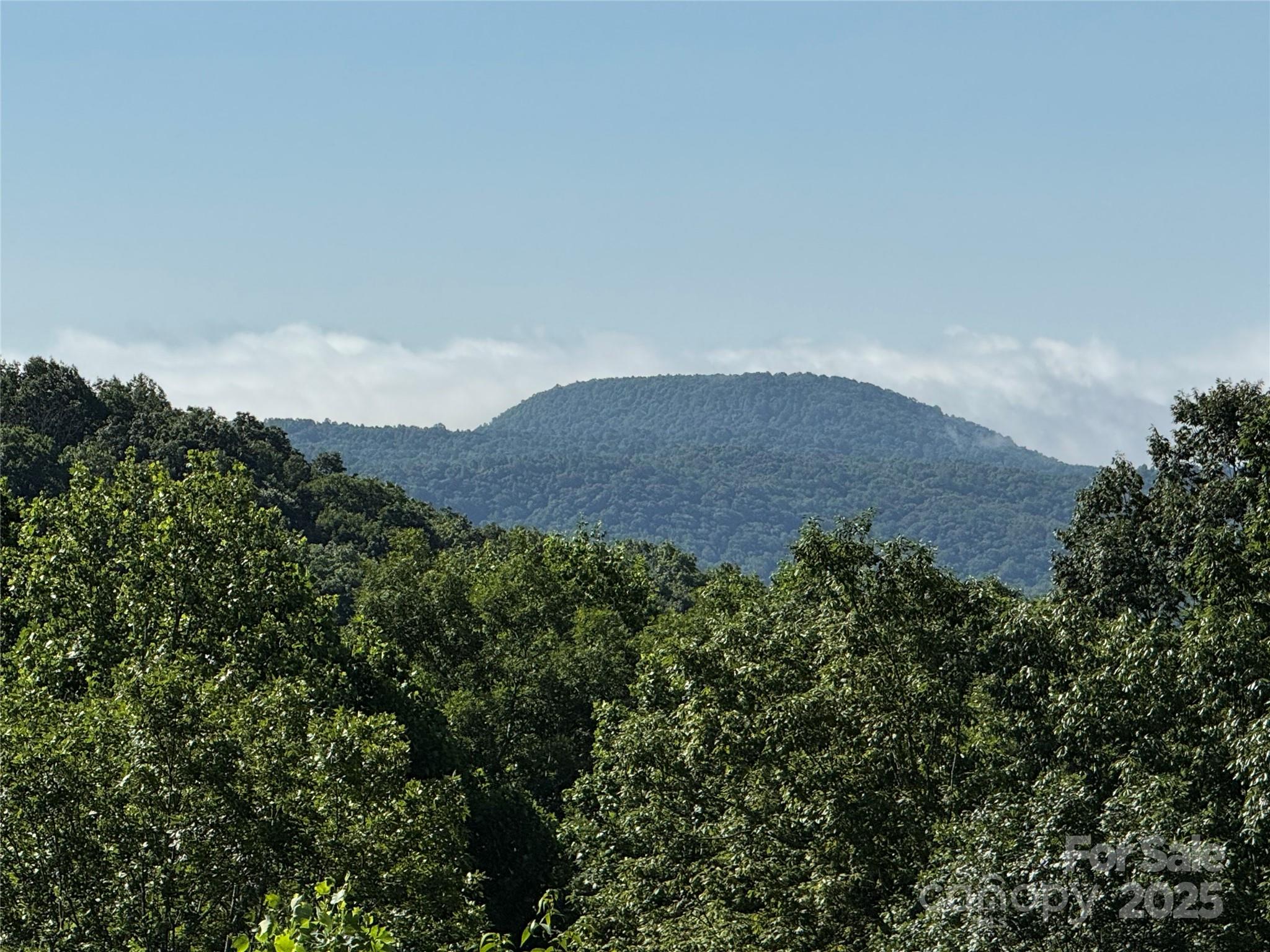 Flat Rock, North Carolina, 28731, United States, ,4 BathroomsBathrooms,Residential,Active,1860239