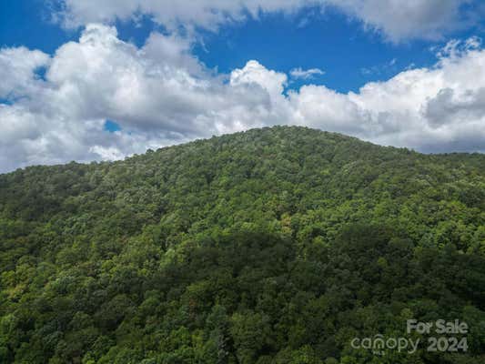 TBD OFF VINEYARD LOOP, PISGAH FOREST, NC 28768 - Image 1