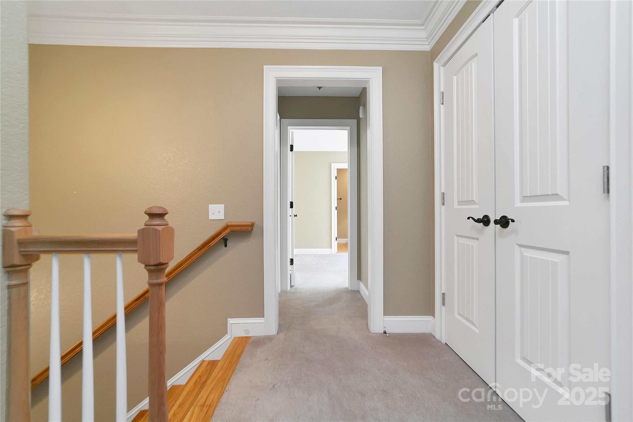 Brevard, North Carolina, 28712, United States, 4 Bedrooms Bedrooms, ,4 BathroomsBathrooms,Residential,Active,2006978