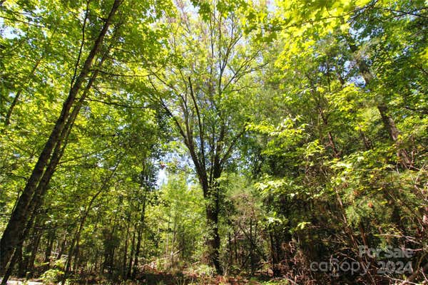 2 +/- ACRES HOSEA STRONG ROAD, CHESTER, SC 29706 - Image 1