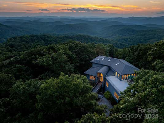 1116 MILLER MOUNTAIN RD, SALUDA, NC 28773 - Image 1