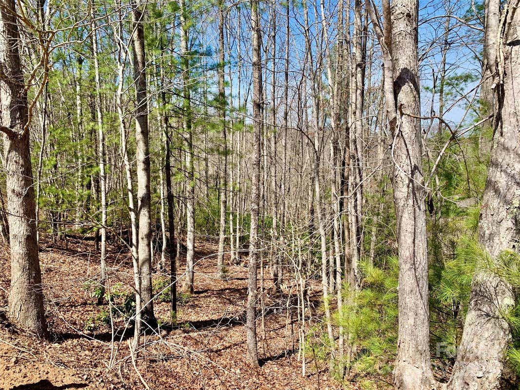 LOT 34 POPLAR BLUFF DRIVE # LOT 34, LENOIR, NC 28645, photo 1 of 45