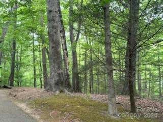 0 BUCKEYE ROAD, LAKE LURE, NC 28467, photo 3 of 20