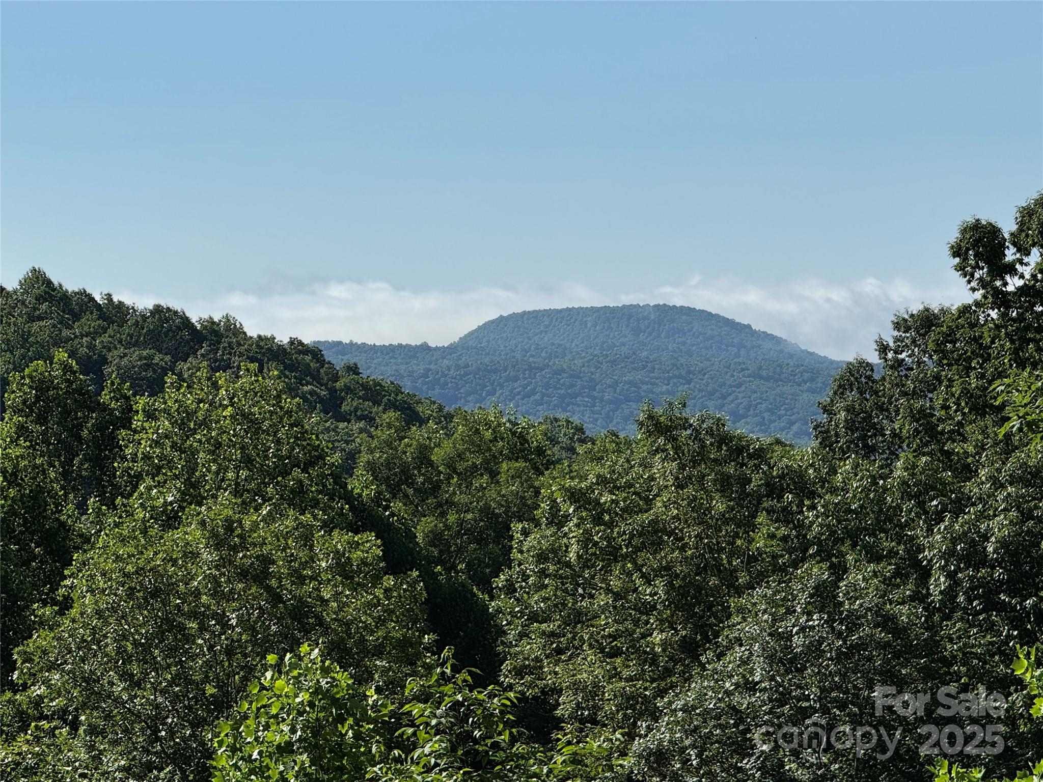 Flat Rock, North Carolina, 28731, United States, ,4 BathroomsBathrooms,Residential,Active,1860239