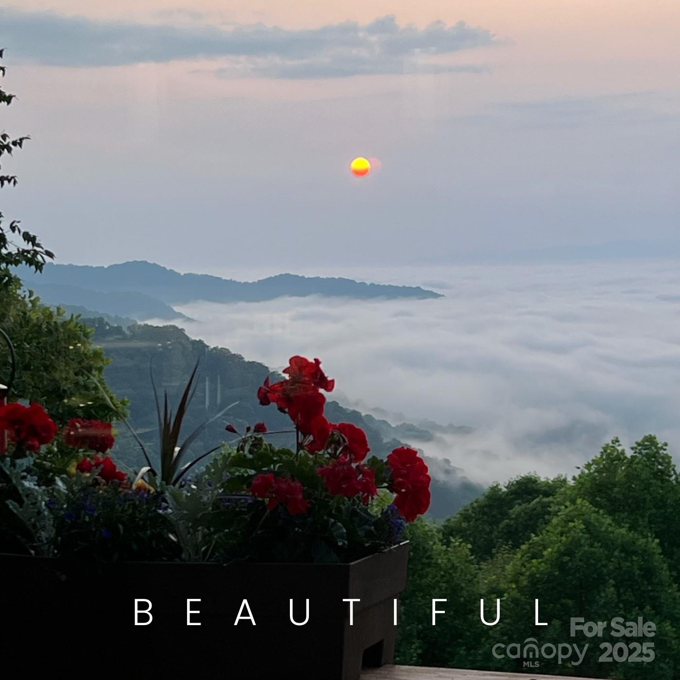 Leicester, North Carolina, 28748, United States, ,5 BathroomsBathrooms,Residential,Active,1769306