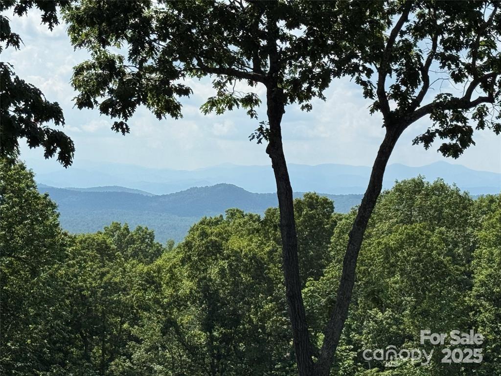 Flat Rock, North Carolina, 28731, United States, 3 Bedrooms Bedrooms, ,7 BathroomsBathrooms,Residential,Active,2007635