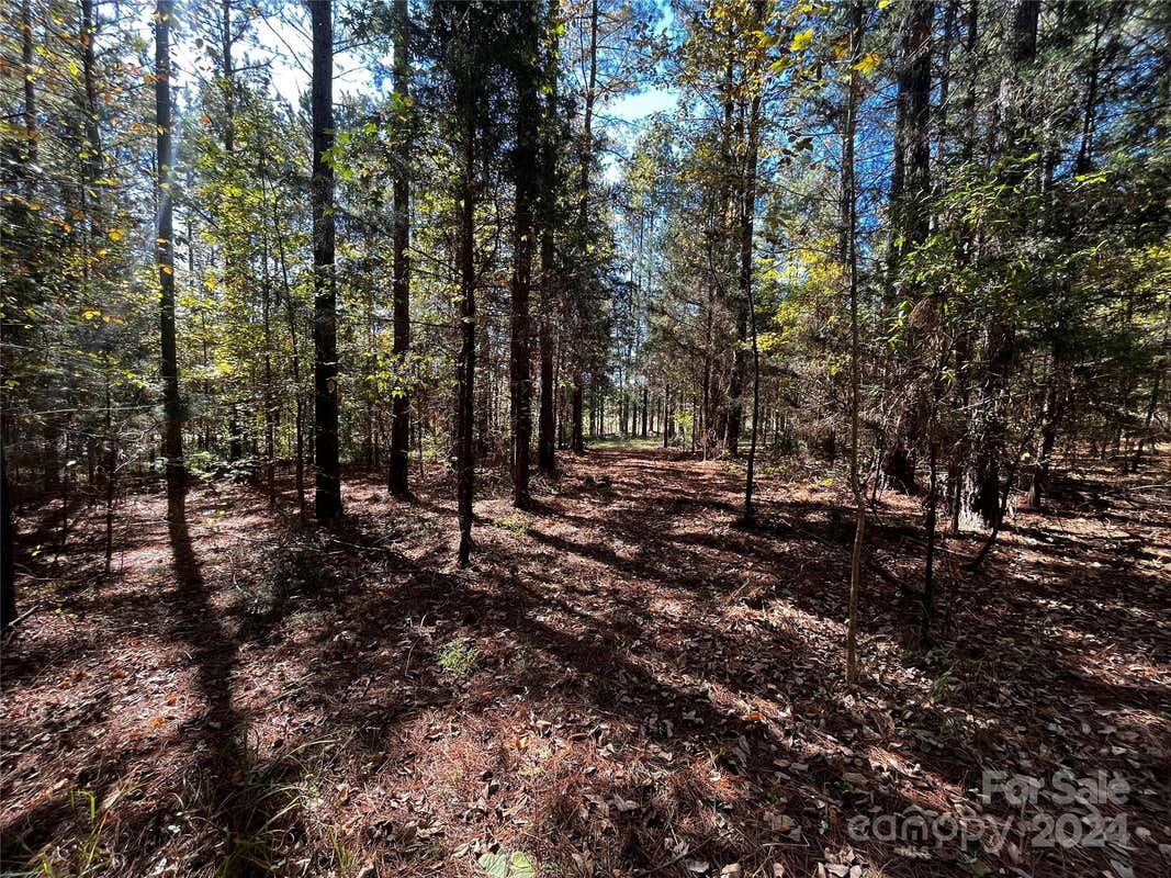 10201 REED MINE RD, MIDLAND, NC 28107, photo 1 of 9